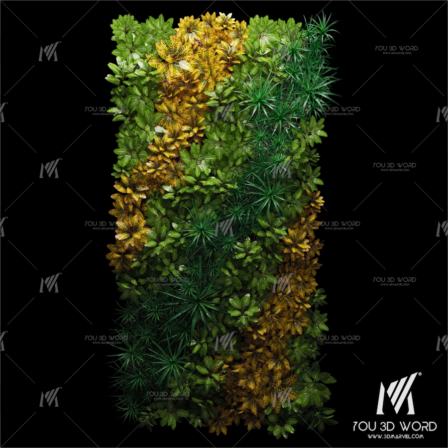Fitostena